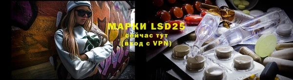 спиды Сясьстрой
