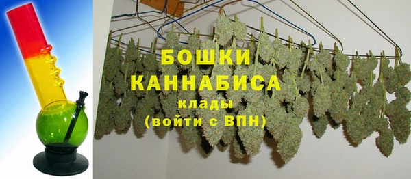 спиды Сясьстрой