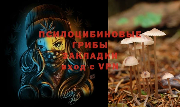 стафф Калининец