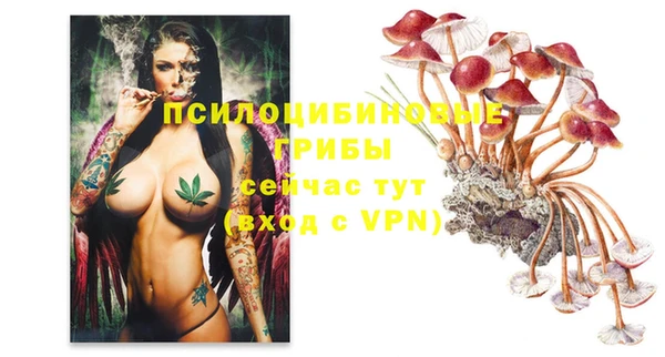 ALPHA-PVP Фёдоровский