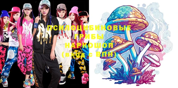 стафф Калининец