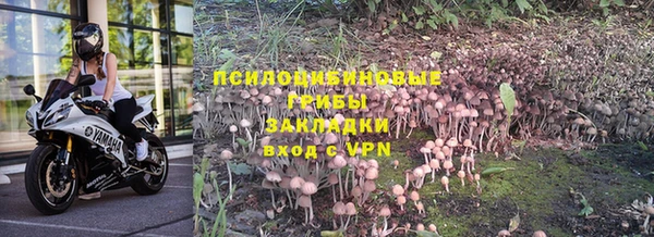 стафф Калининец