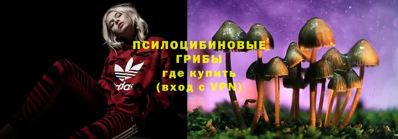 это телеграм  Агидель  Псилоцибиновые грибы ЛСД 