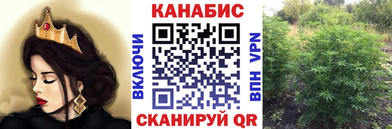 Шишки марихуана план  Агидель 
